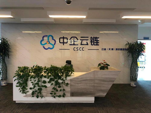 中企云鏈 安心扎根，舒心發展，創新金融科技服務與信息技術咨詢